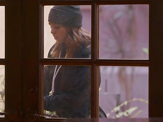 Adriana Chechik lesbian frenzy with cute burglar Riley Reid