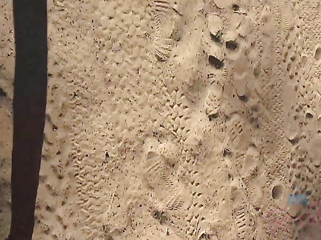 WIld beach sex from your point of view with teenage Melody Marks