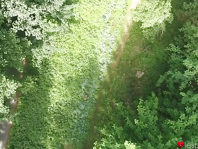 Forest lesbian three-way with Aislin, Lovita Fate and Zazie Skymm