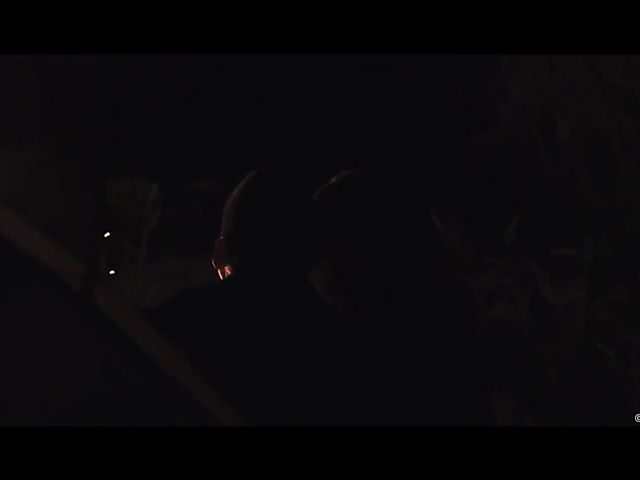 Skinny dipping and train sex with charming Stacy Cruz