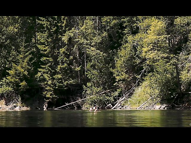 Skinny dipping and train sex with charming Stacy Cruz