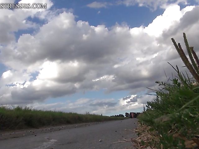 Femdom pony play and whipping on the road with kinky coachwoman Susi