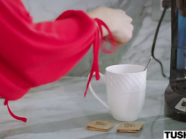 Ashley Red's perfect anal with well experienced Mick Blue