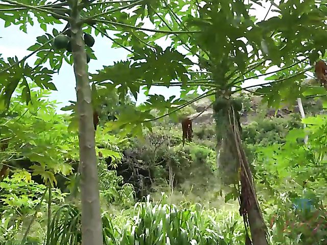 Outdoor POV blow and fuck by the ocean with his girlfriend Melody Marks