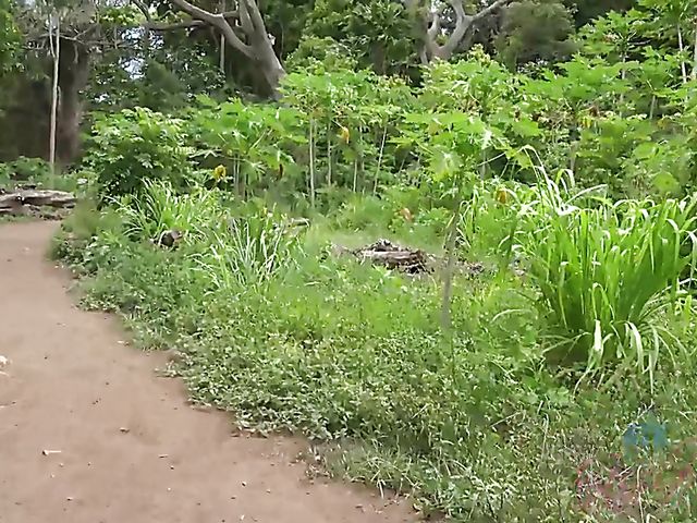 Outdoor POV blow and fuck by the ocean with his girlfriend Melody Marks