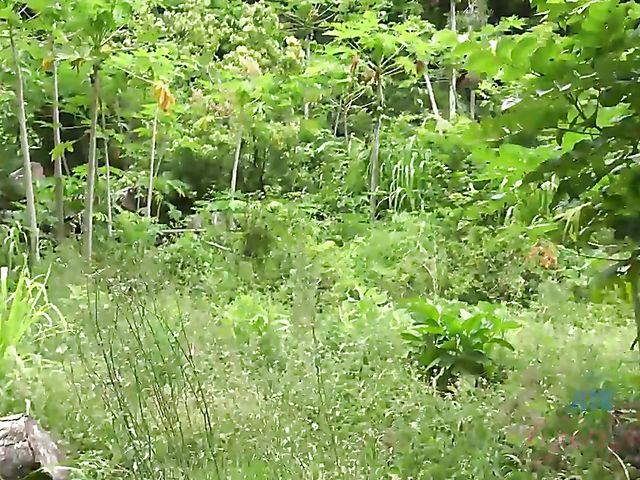 Outdoor POV blow and fuck by the ocean with his girlfriend Melody Marks