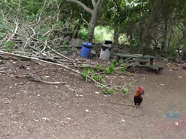 Outdoor POV blow and fuck by the ocean with his girlfriend Melody Marks