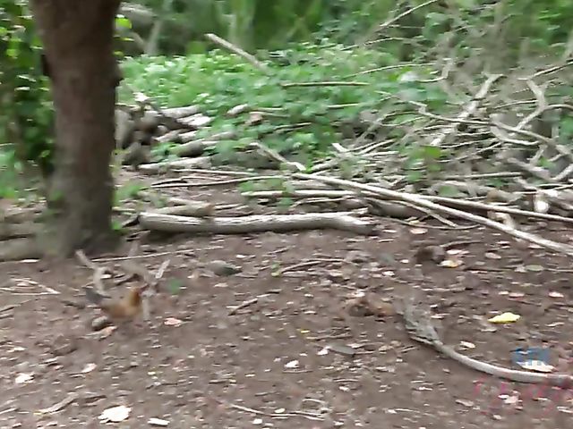 Outdoor POV blow and fuck by the ocean with his girlfriend Melody Marks