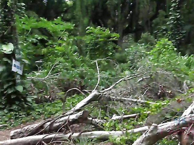 Outdoor POV blow and fuck by the ocean with his girlfriend Melody Marks