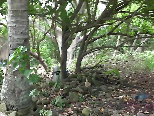 Outdoor POV blow and fuck by the ocean with his girlfriend Melody Marks