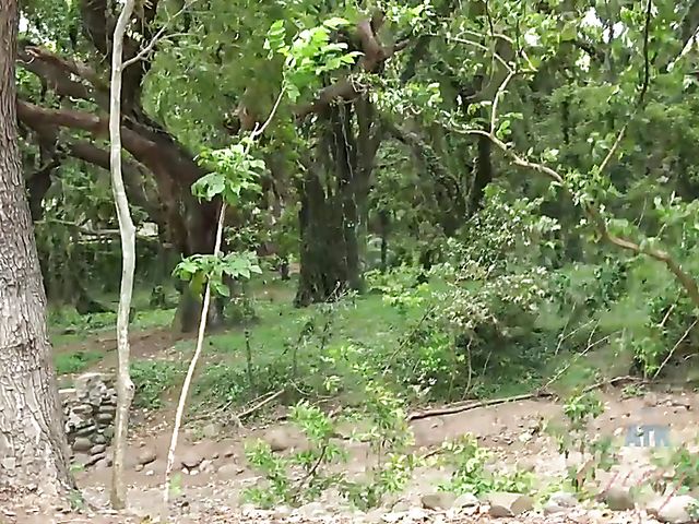 Outdoor POV blow and fuck by the ocean with his girlfriend Melody Marks