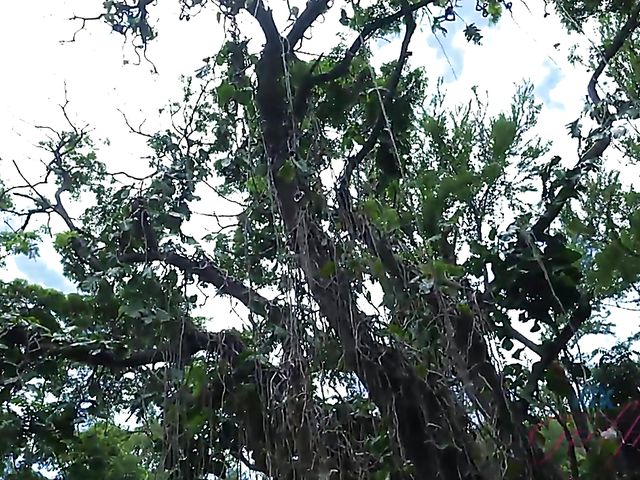 Outdoor POV blow and fuck by the ocean with his girlfriend Melody Marks