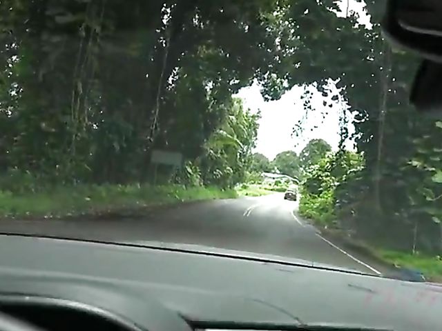 Mi Ha Doan gets her wet pussy fingered in the car