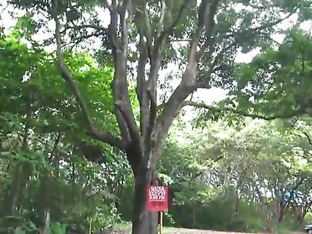 Mi Ha Doan gets her wet pussy fingered in the car