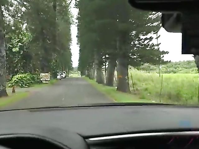 Mi Ha Doan gets her wet pussy fingered in the car