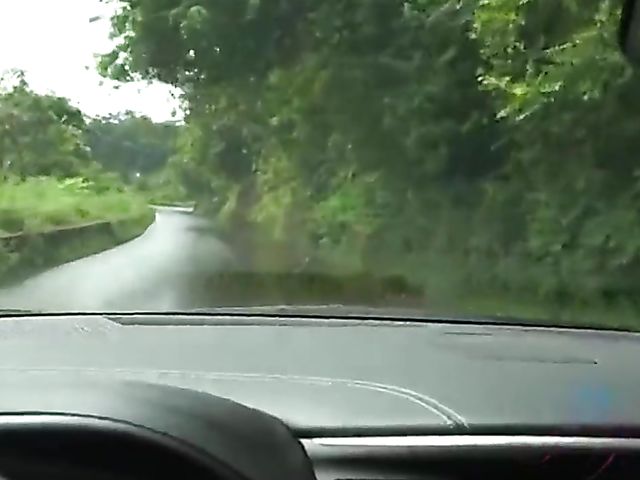 Mi Ha Doan gets her wet pussy fingered in the car