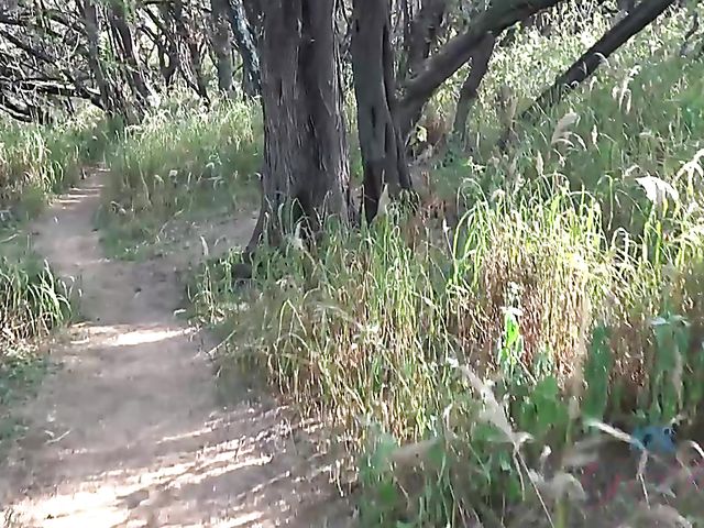 Teen glasses blonde Victoria Gracen gets boned in nature