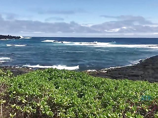 POV blow and fuck chronicles of ATK girlfriend Emily Willis 