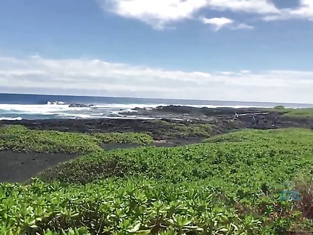 POV blow and fuck chronicles of ATK girlfriend Emily Willis 