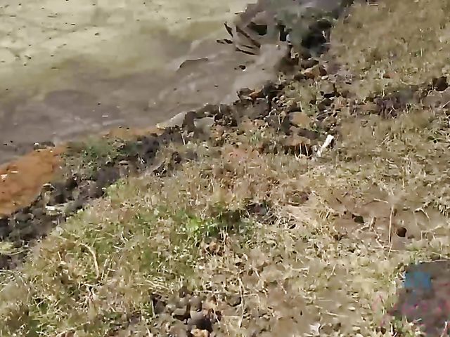 Riley Star ATK girlfriends compilation for your enjoyment 