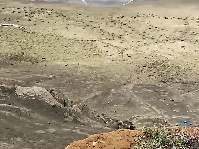 Riley Star ATK girlfriends compilation for your enjoyment 