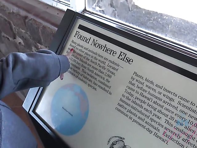 Teen bikini girl Kate Bloom diving and showing her twat in the car