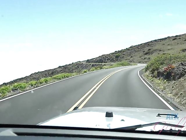 Teen bikini girl Kate Bloom diving and showing her twat in the car