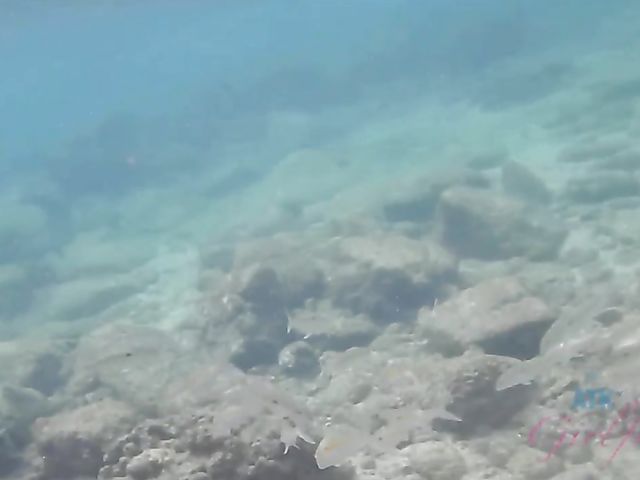 Teen bikini girl Kate Bloom diving and showing her twat in the car