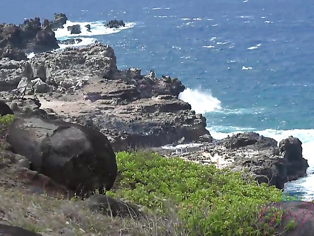 POV outdoor quickie with his bikini girlfriend Chloe Temple