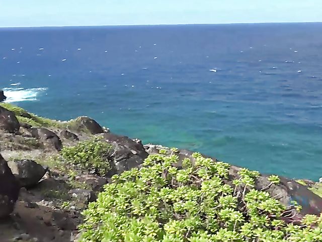 POV outdoor quickie with his bikini girlfriend Chloe Temple