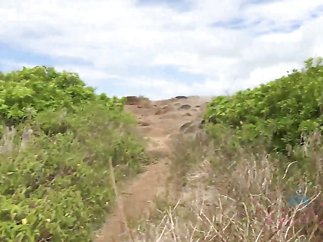 POV outdoor quickie with his bikini girlfriend Chloe Temple