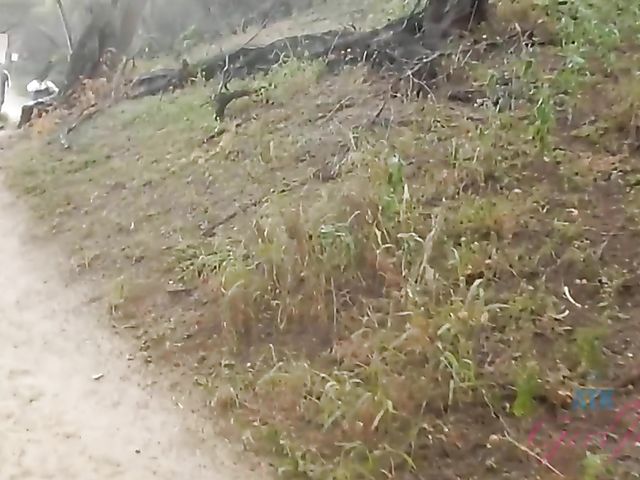 POV outdoor quickie with his bikini girlfriend Chloe Temple