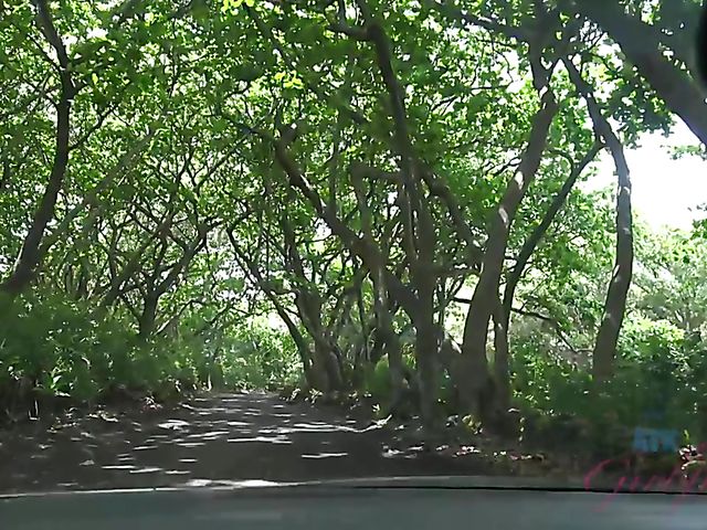 Smoking teen Lola Fae gets fingered in the car and blows outdoors