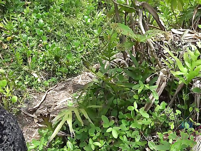 Smoking teen Lola Fae gets fingered in the car and blows outdoors