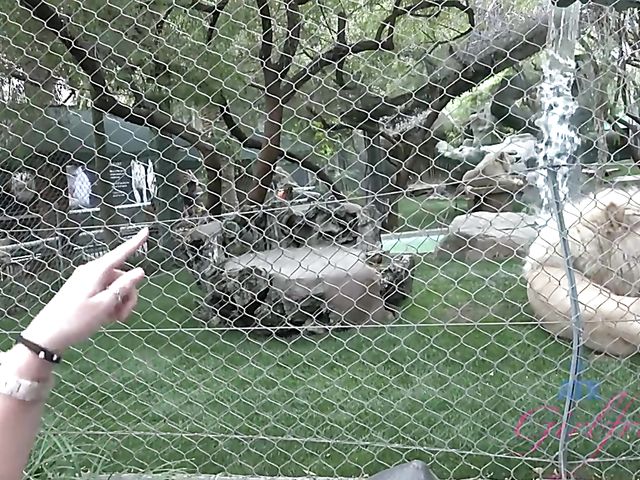 Sexy girlfriend Brooke Wylde displays her big wet tits in the bathtub