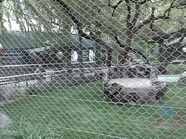 Sexy girlfriend Brooke Wylde displays her big wet tits in the bathtub