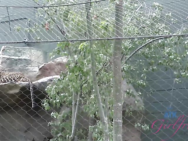 Sexy girlfriend Brooke Wylde displays her big wet tits in the bathtub