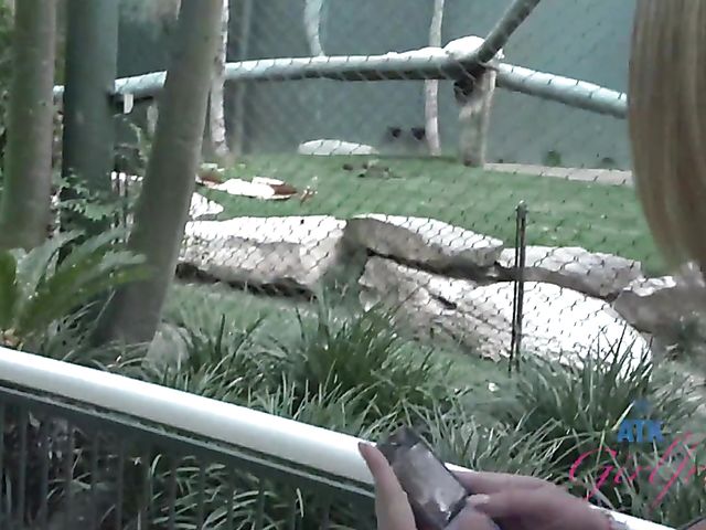 Sexy girlfriend Brooke Wylde displays her big wet tits in the bathtub