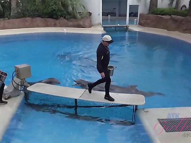 Sexy girlfriend Brooke Wylde displays her big wet tits in the bathtub