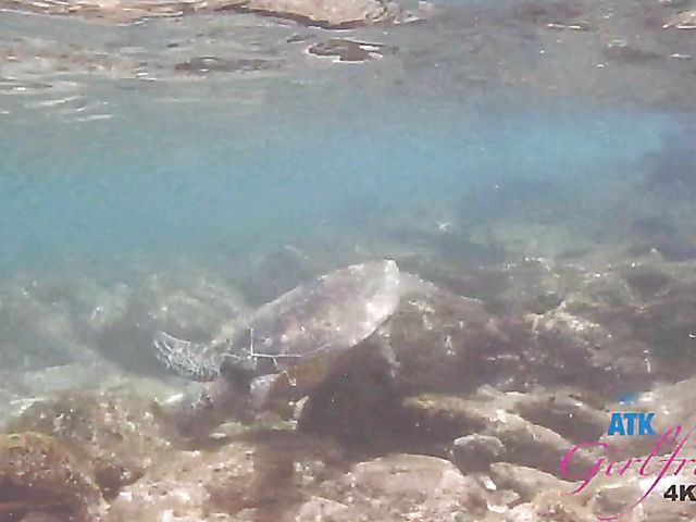 His pretty girlfriend Melody Marks is proud of her nice tits