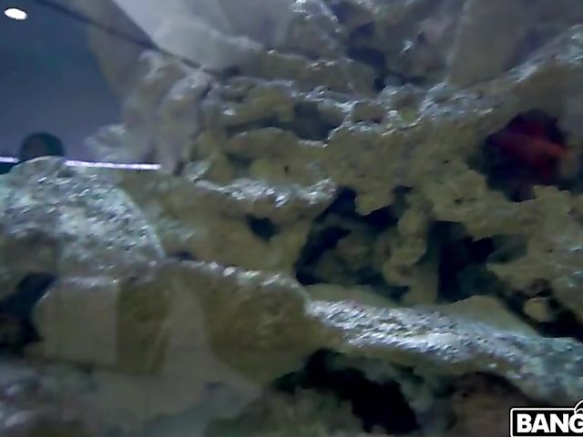 Busty latina maid with a lovely ass Alina Belle displays her assets and fucks a cock