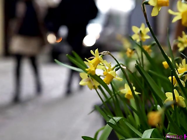 Red wine gets lesbian lovers Elza A and Lesya horny