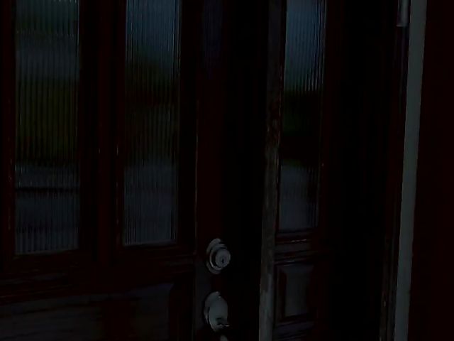 Melissa Lynn - MILF kitchen fun with her daughter's boyfriend