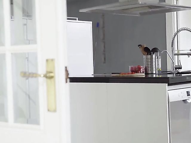 Katrina Moreno - Latin maid big tits and smooth snatch turn him on