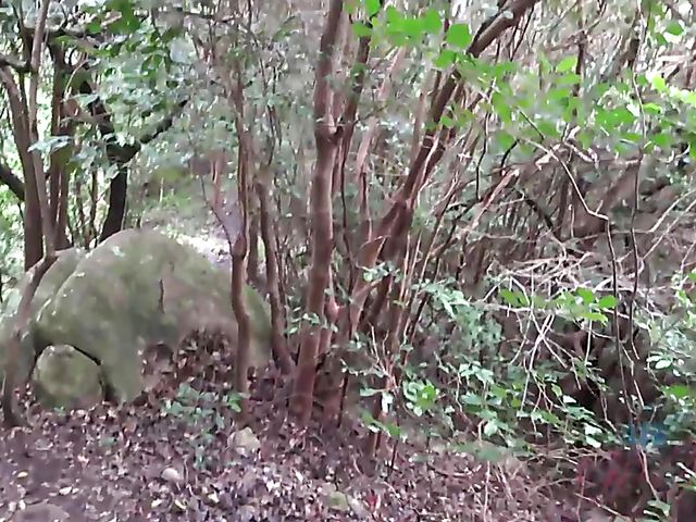 Outdoor POV fun with Vera King on the way to the beach