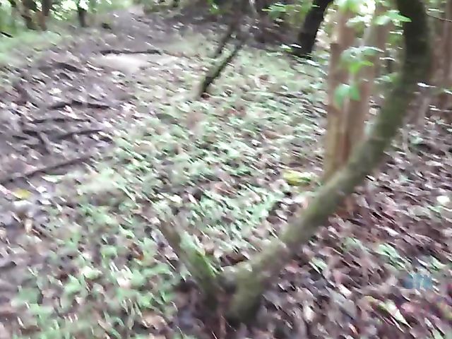 Outdoor POV fun with Vera King on the way to the beach