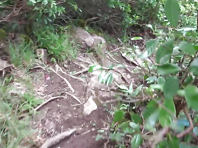 Outdoor POV fun with Vera King on the way to the beach