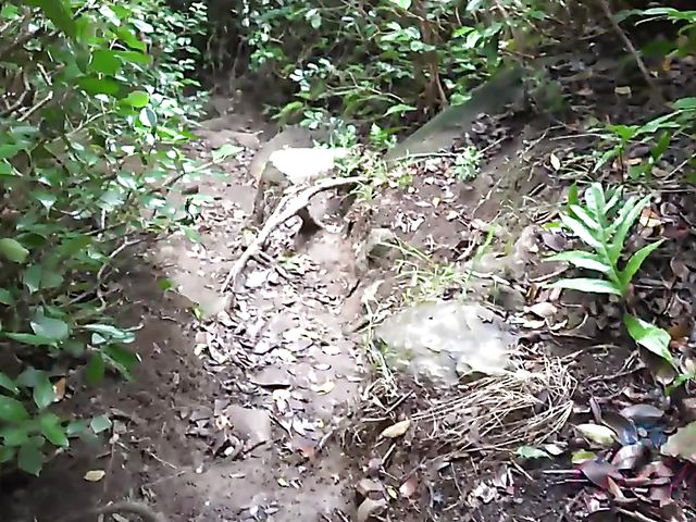 Outdoor POV fun with Vera King on the way to the beach