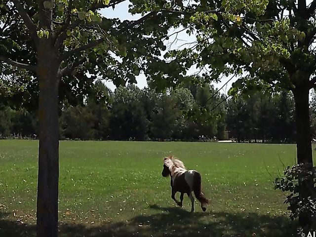 Behind the scenes of Talia Mint's outdoor pussy insertions by the helicopter