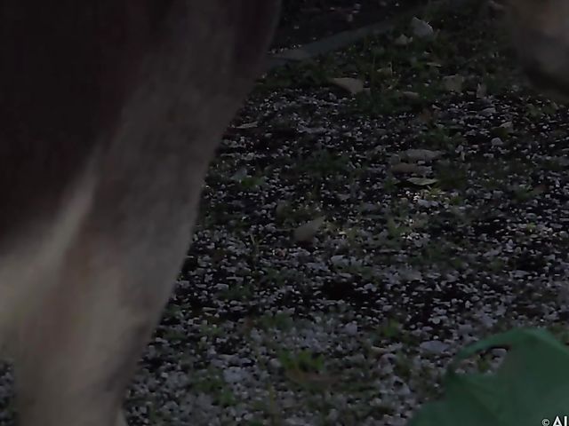 Behind the scenes of Talia Mint's outdoor pussy insertions by the helicopter